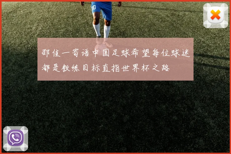 邵佳一寄语中国足球希望每位球迷都是教练目标直指世界杯之路